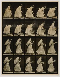 Woman Lifting a Basket, Waving a Handkerchief, from the Book Animal Locomotion