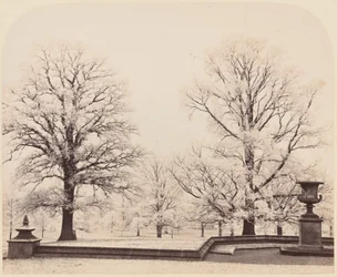 Hoarfrost, a Park Scene