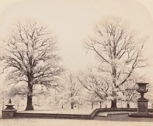 Hoarfrost, a Park Scene