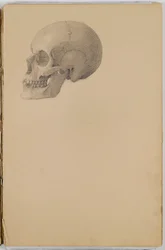Anatomy Sketch Book