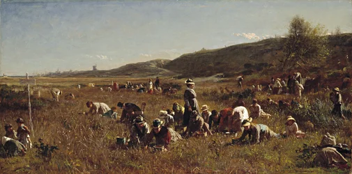 The Cranberry Harvest. Island of Nantucket, 1880