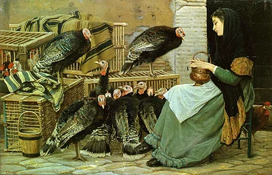 Christmas Turkey Market in Rome