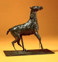 Caracoling Horse