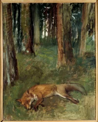 Dead fox in a wood