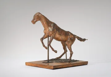 Horse Balking Horse Clearing an Obstacle
