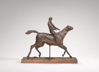 Horse Galloping, Turning the Head to the Right, the Feet Not Touching the Ground