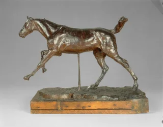 Horse Galloping on the Right Foot