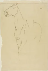 Horse Turned Three-Quarters