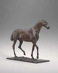 Horse Walking