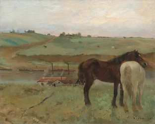 Horses in a Meadow, 1871