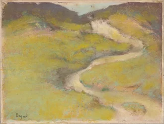 Pathway in a Field