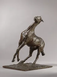 Rearing Horse