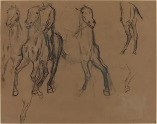 Study of Horses