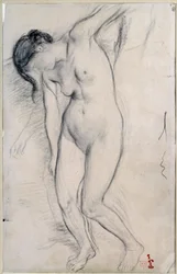 Study of Naked Woman Standing for 