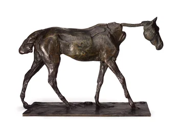 Thoroughbred Horse, Walking