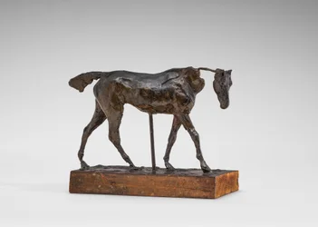 Thoroughbred Horse Walking, Part of the Neck Missing