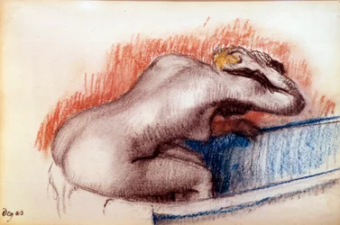 Woman Washing in a Bath