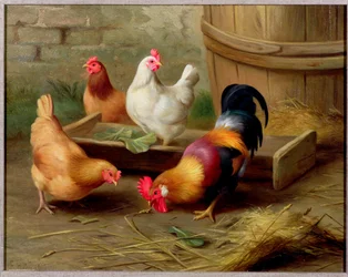 Farmyard Scene