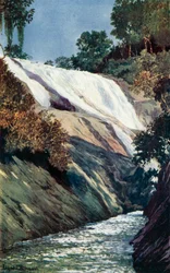 A Cascade at Tijuca, Rio