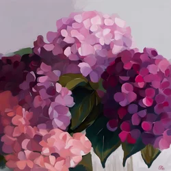 Vibrant Hydrangea Blooms