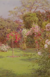A Rose Garden
