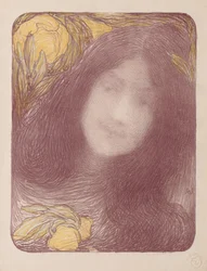 Under the Flowers