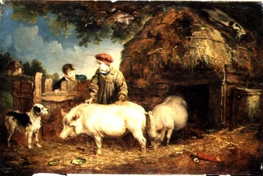 Feeding the Pigs