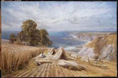 Harvesting on the South Coast