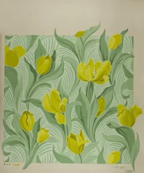 Tulip
