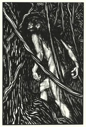 Illustration for Sartor Resartus