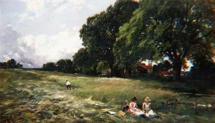 Hayfield at Danbury, Essex
