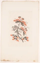 Flowers and Buds