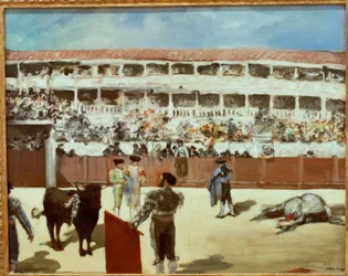 Bullfight