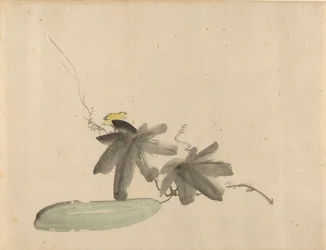 Cucumber with Leaves, c. 1880