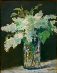 Vase of Flowers, White Lilacs