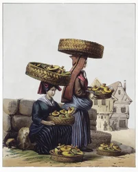 Mushrooms traders