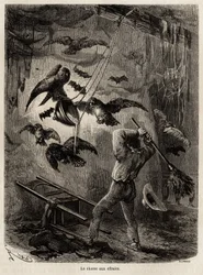 Hunting for owls in the church of Sarayacu