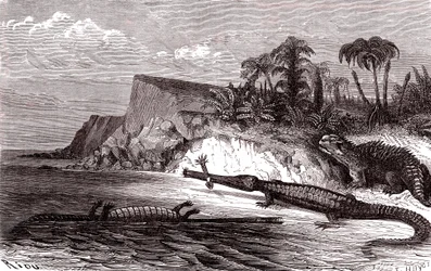 The Teleosaurus and the Hyleosaurus