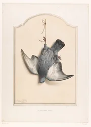 Dead Rock Dove Hanging by a Foot (La colombe biset) (title on object) (Museum of the Hunter) (series title) (Musée du chasseur) (series title on object)