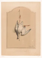 Dead Redshank Hanging by a Leg (Museum of the Hunter)
