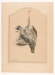 Dead Female Grouse Hanging by a Leg
