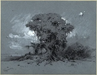 Old Tree
