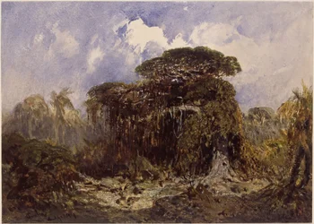 Forest Study
