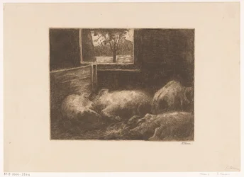 Pigs in a Stall