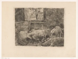 Pigs in a Stall