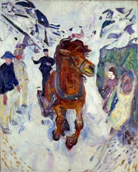Horse Gallop