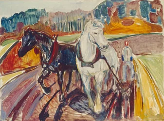 Horse Team