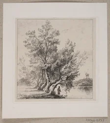 Willow Trees by the City Moat