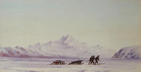 Arctic Scene