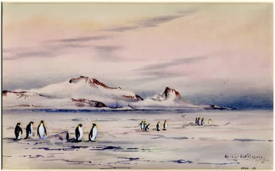 The Discovery Winter Quarters, c.1901-04